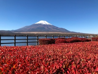 IMG_0645.jpg
