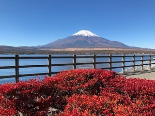 IMG_0648.jpg