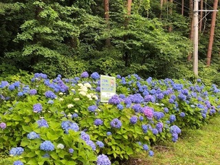 1.7.23.1.jpg