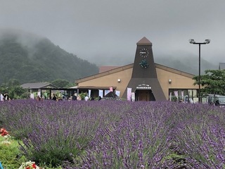 1.7.23.6.jpg