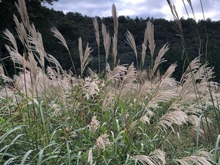 10.1.10.jpg