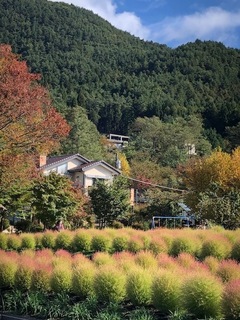 10.20.6.jpg