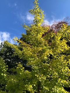 10.20.8.jpg