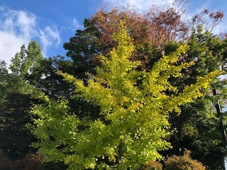 10.20.9.jpg