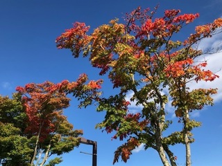 10.24.2.jpg