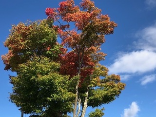 10.24.4.jpg