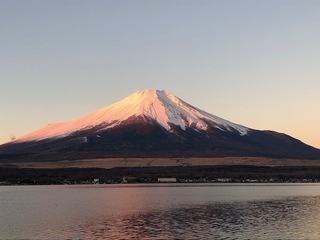 12.29.1.jpg