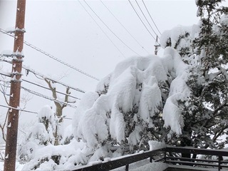 2.1.28.3.jpg