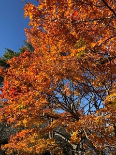 30.10.27.1.jpg