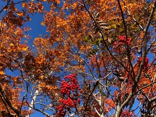 30.10.27.2.jpg