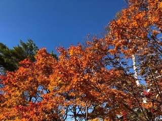 30.10.27.3.jpg