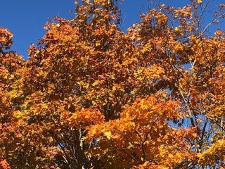 30.10.27.5.jpg