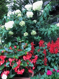 30.8.23.8.jpg