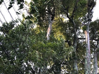 30.9.5.6.jpg