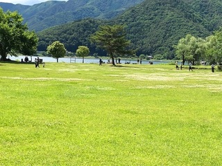 6.17.10.jpg