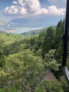 ツリーハウス 11.jpg