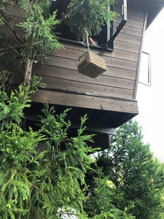 ツリーハウス 9.jpg