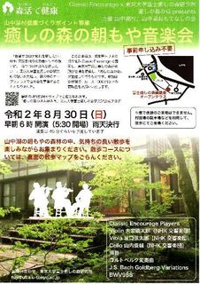 癒しの森1.jpg