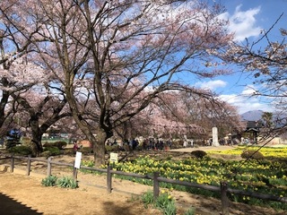 神代 9.jpg