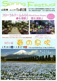 花の都1.jpg