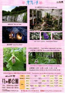 花の都2.jpg