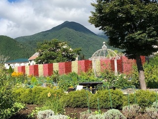 IMG_0103.jpg