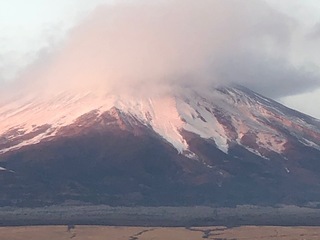 IMG_0180.jpg