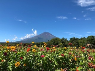 IMG_0199.jpg
