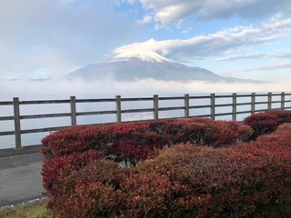 IMG_0527.jpg
