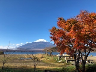 IMG_0828.jpg