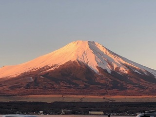 IMG_1150.jpg