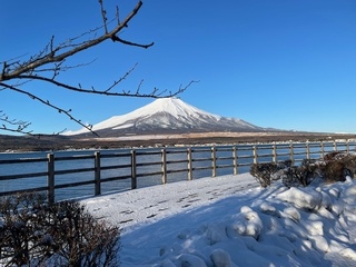 IMG_1878.JPG
