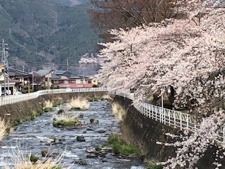 IMG_2587.jpg