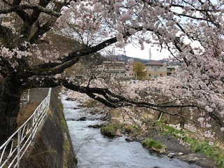 IMG_2590.jpg