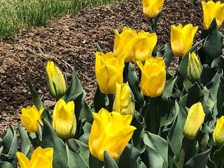 IMG_2867.jpg