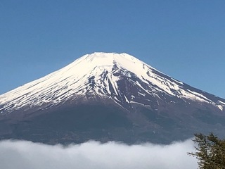 IMG_3010.jpg