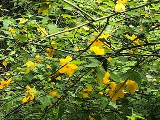 IMG_3020.jpg