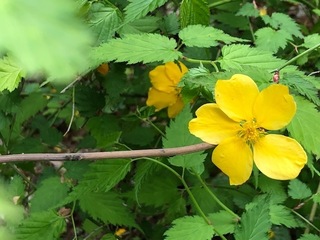 IMG_3024.jpg