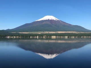 IMG_3442.jpg