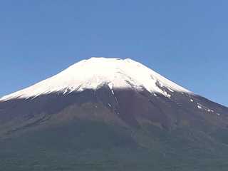 IMG_3443.jpg