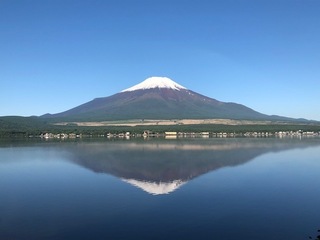 IMG_3447.jpg
