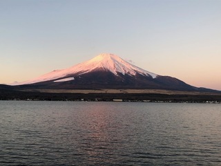 IMG_3943.jpg
