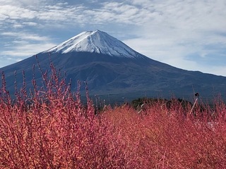 IMG_5322.jpg