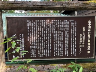 IMG_5402.jpg