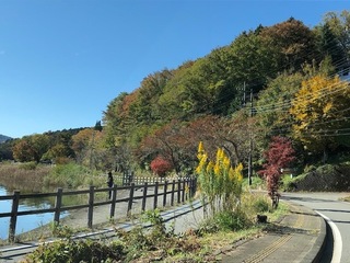 IMG_5456.jpg