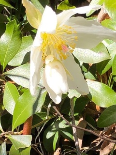 IMG_6565.jpg