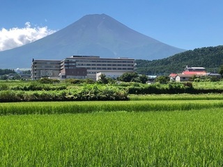 IMG_8248.jpg
