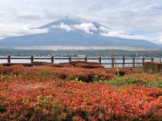 IMG_8735.jpg