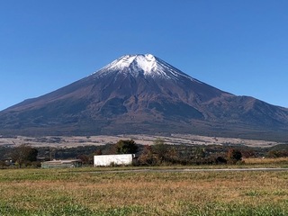 IMG_8894.jpg