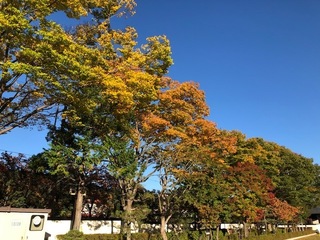 IMG_8909.jpg